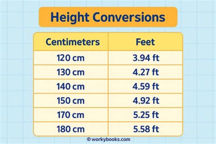 4.7 cm to feet and inches