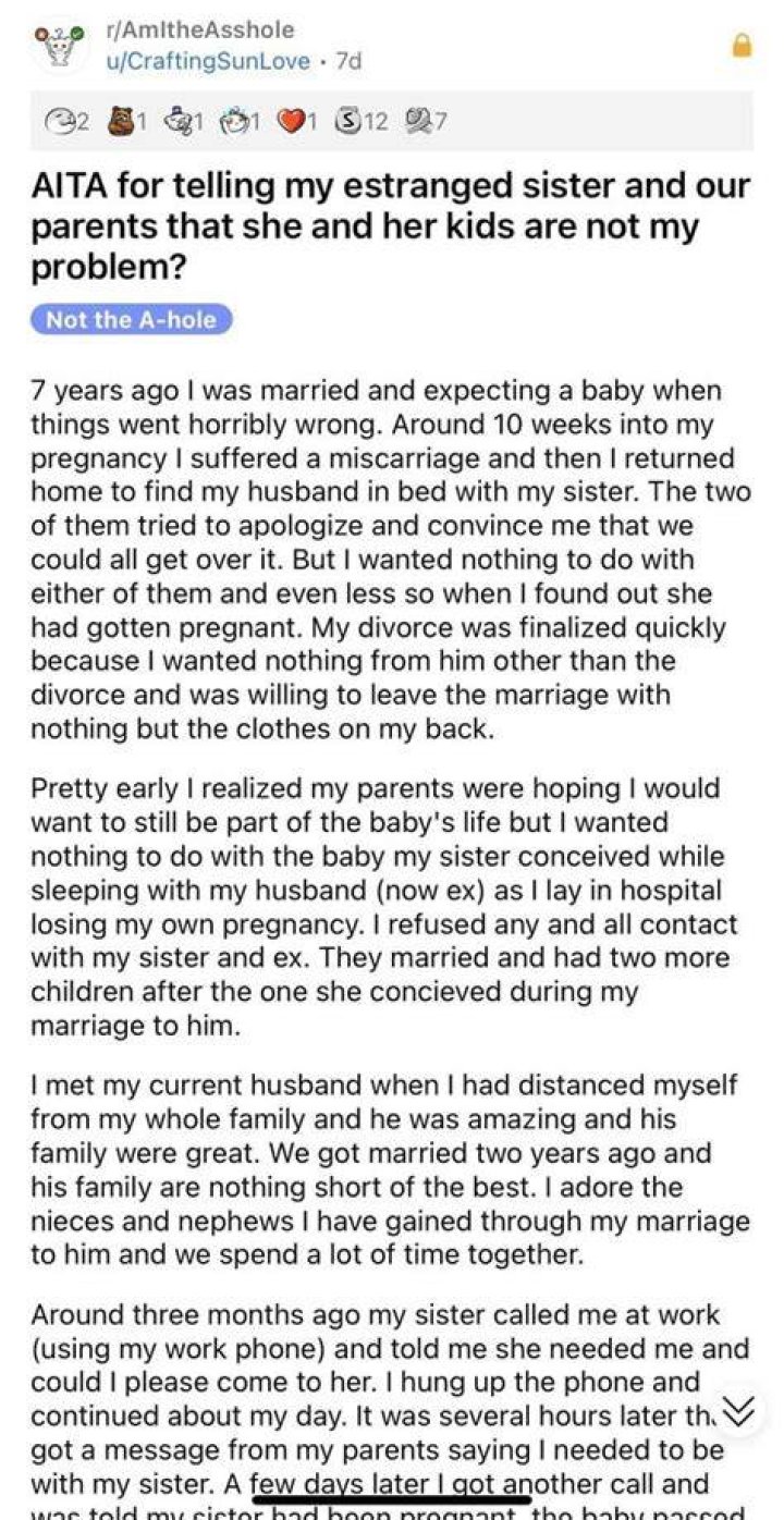 AITA for telling my estranged sister and our parents that she and her