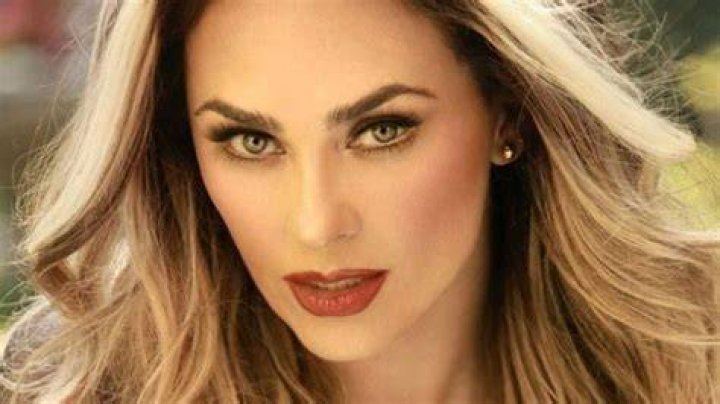 Aracely Arambula dating 2023 profile