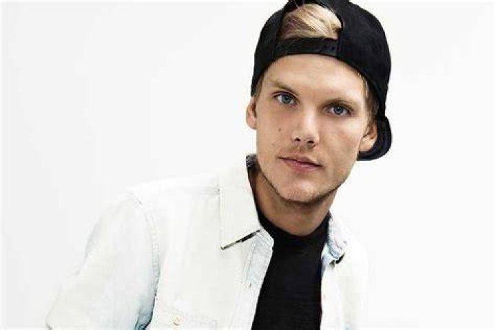 Avicii - Most Richest Singers from Sweden
