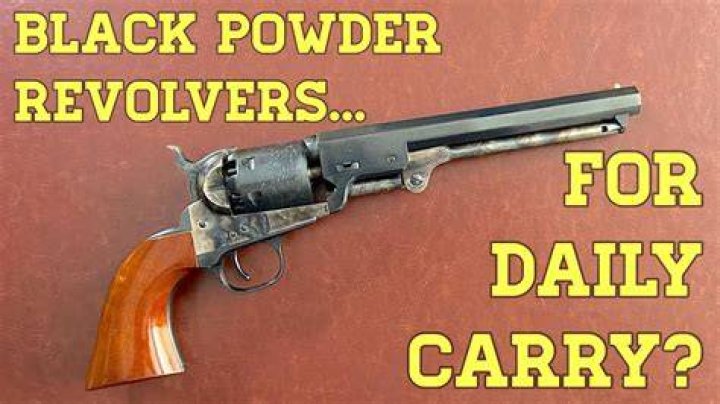 can felon own black powdergun