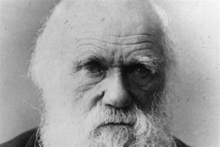 Charles Darwin festival attracts global audience Shropshire Star