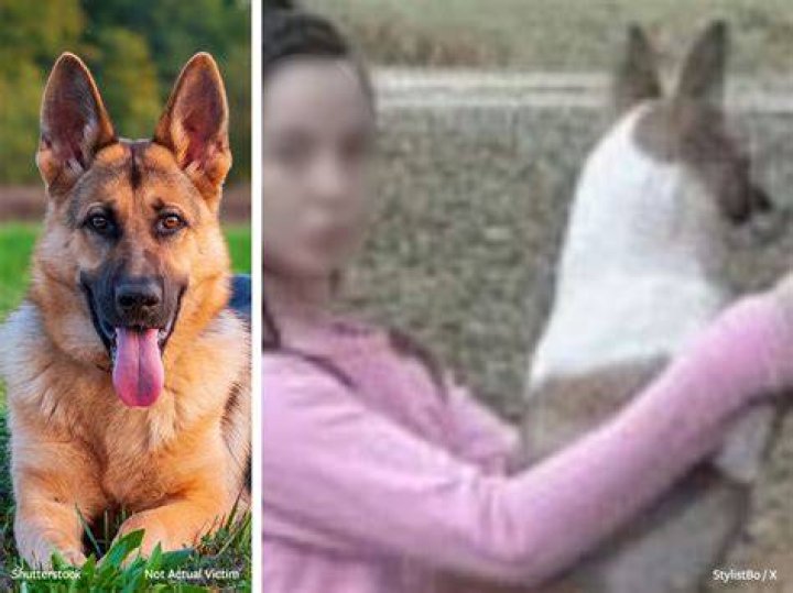 Denise Frazier Dog Video Mississippi Woman Who Allegedly Had Sex With