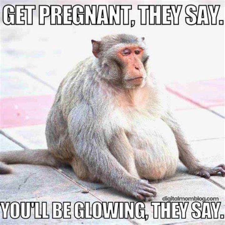 Discover The Secrets Of Getting Pregnant Memes