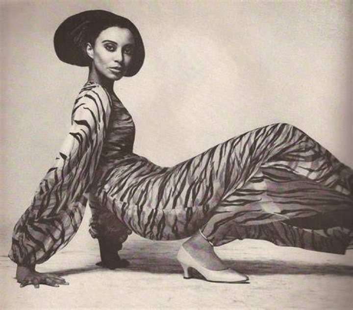 Donyale Luna, Cover Model Soars 50 Years Ago • FashCam