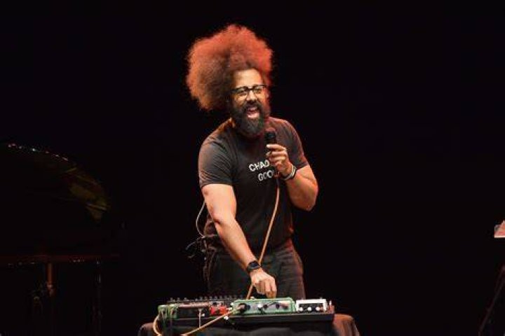 PicoVib | Reggie Watts Net Worth