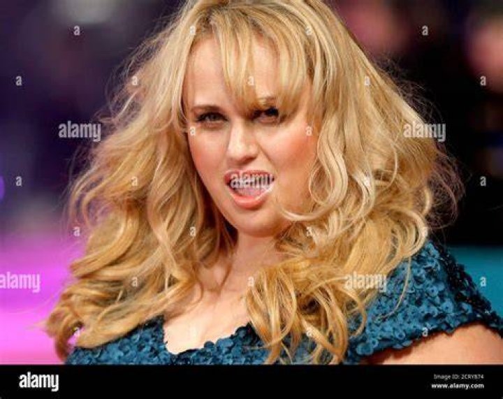 Rebel Wilson's New Boyfriend Is a Good Fit for Her 'He's a Match for