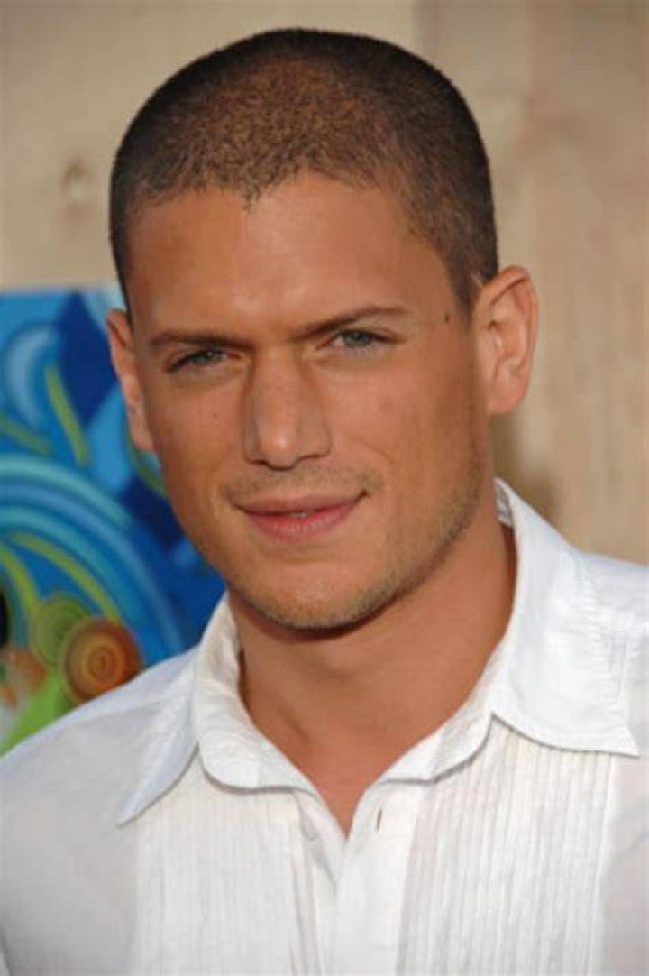 Wentworth Miller &mdash; Wikip&eacute;dia