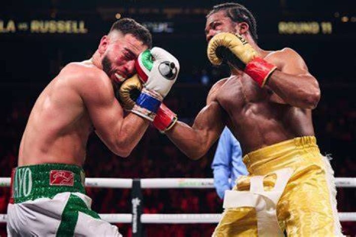 Where Is The Boxer From? Origin Family And Net Worth ·
